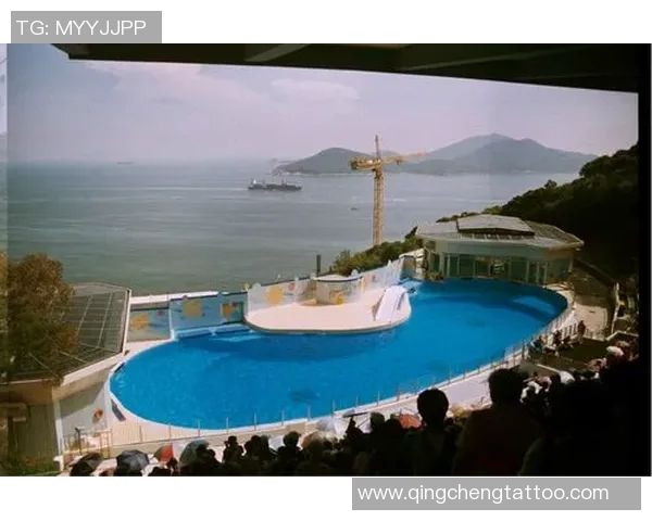 怀旧回顾香港足球明星的经典老照片与辉煌岁月 怀旧回顾香港足球明星的经典老照片与辉煌岁月