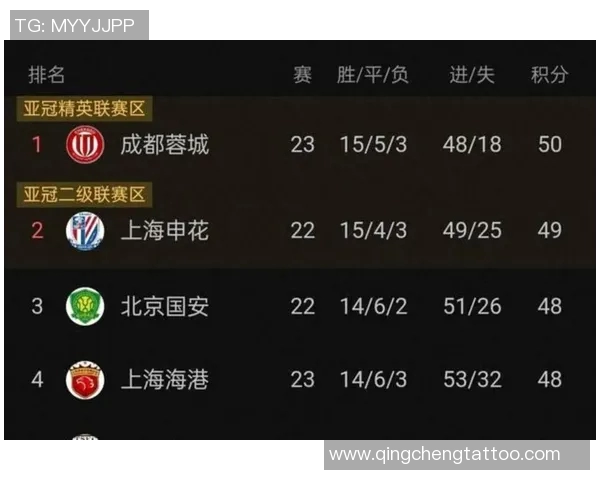 上海排球队以91分领跑城市联赛积分榜展现强劲实力 上海排球队以91分领跑城市联赛积分榜展现强劲实力