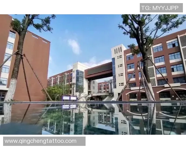 西安足球队在世界锦标赛中的蜕变与崛起之路探秘 西安足球队在世界锦标赛中的蜕变与崛起之路探秘