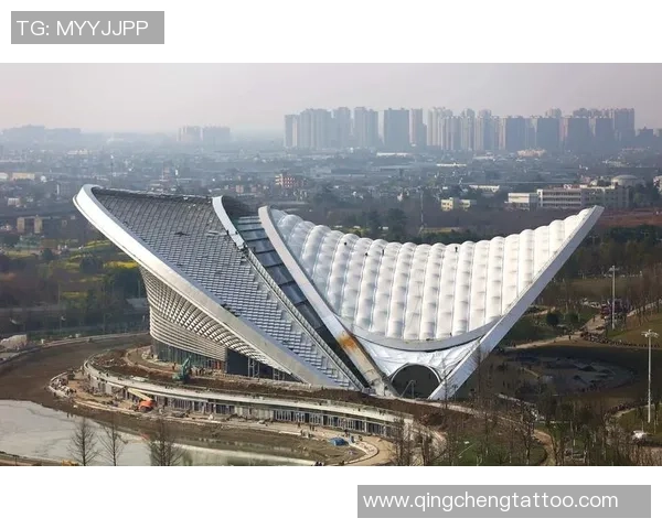 成都羽毛球队转型之路揭秘：从传统强队到现代化竞技新标杆