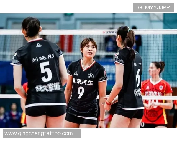 最新排球力量排行榜揭晓北京排球队强势领跑全国前十名