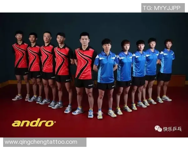 赛后分析：深圳乒乓球队与西安乒乓球队灵活性对比及战术探讨