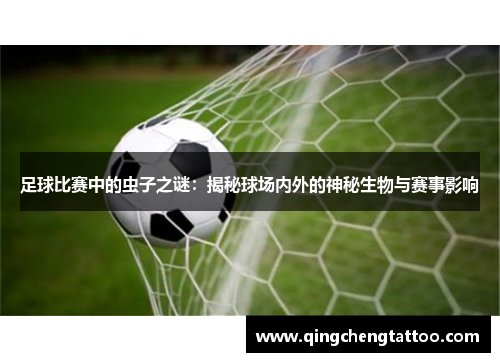 足球比赛中的虫子之谜：揭秘球场内外的神秘生物与赛事影响