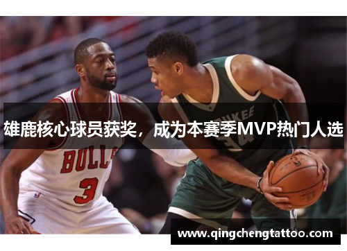 雄鹿核心球员获奖，成为本赛季MVP热门人选