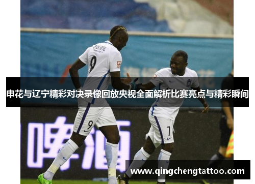 申花与辽宁精彩对决录像回放央视全面解析比赛亮点与精彩瞬间