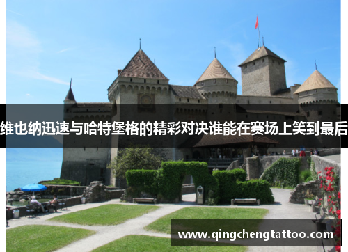 维也纳迅速与哈特堡格的精彩对决谁能在赛场上笑到最后
