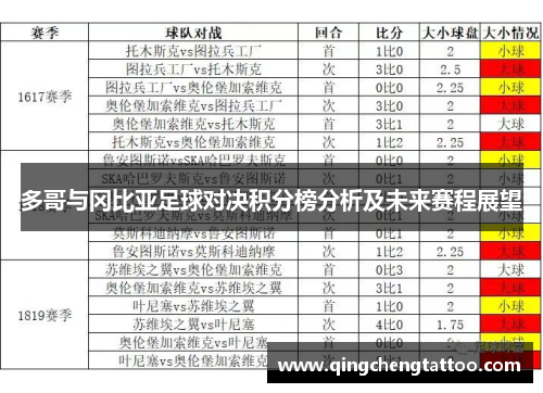 多哥与冈比亚足球对决积分榜分析及未来赛程展望